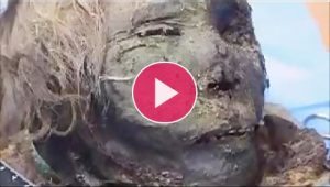 کشف مومیایی 900 ساله شاهزاده قطبی در سیبری+فیلم